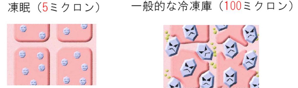 凍結の氷結晶比較